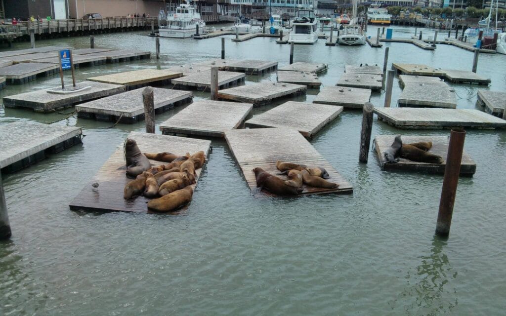 San Francisco: Fisherman’s Wharf, el Golden Gate y mucho más
