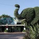 Zoo de San Diego