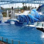 Seaworld