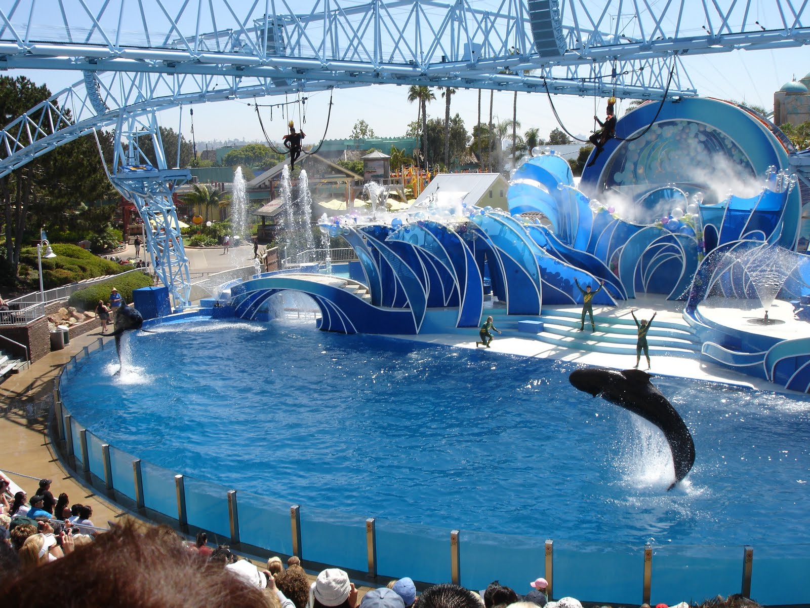 Seaworld Dreaming California