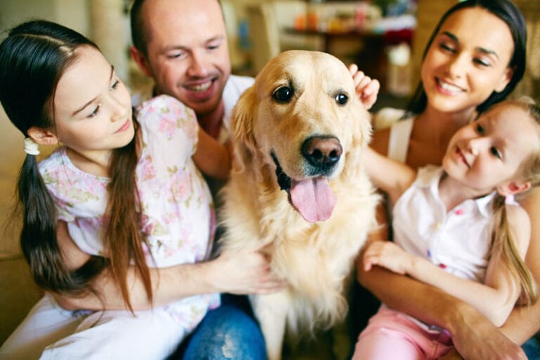¿Cómo es un día normal en una familia americana?