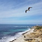 Las 8 mejores actividades de un curso en California