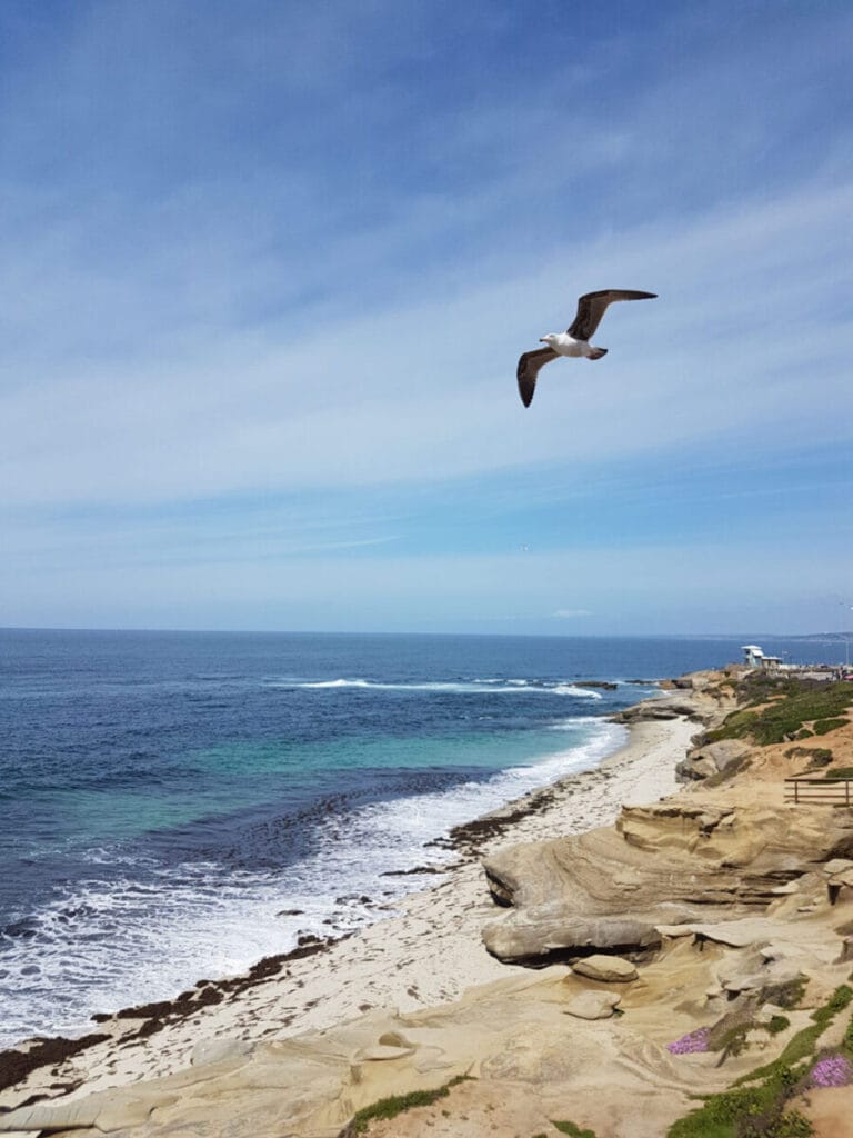 Las 8 mejores actividades de un curso en California