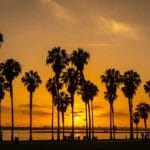 Qué hacer en San Diego: playas, parques y planes por zona