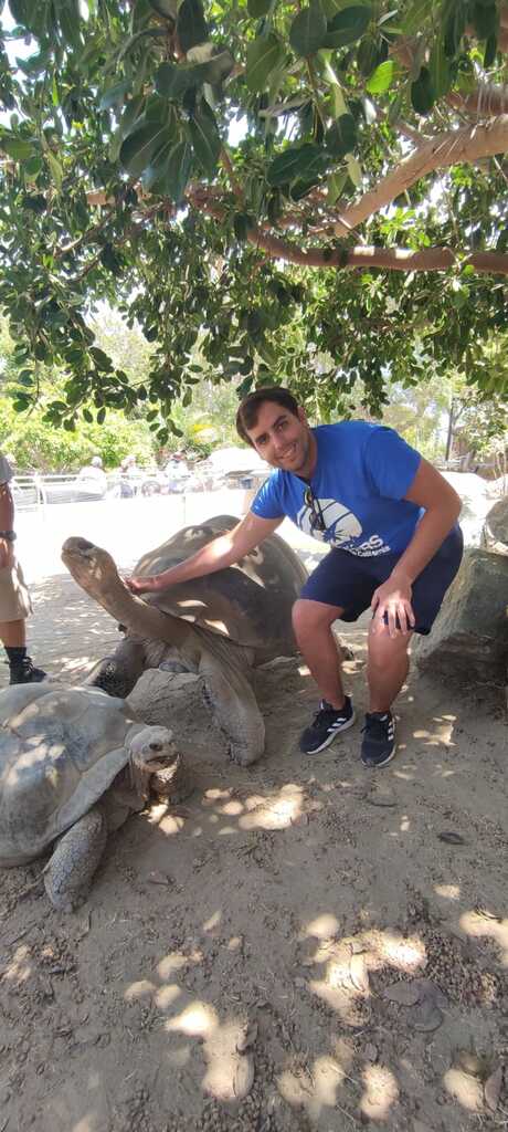 Pasamos a alimentar a los animales en el San Diego Zoo